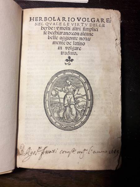 HERBOLARIO VOLGARE: NEL QUALE LE VIRTU DELLE HERBE: & MOLTI …