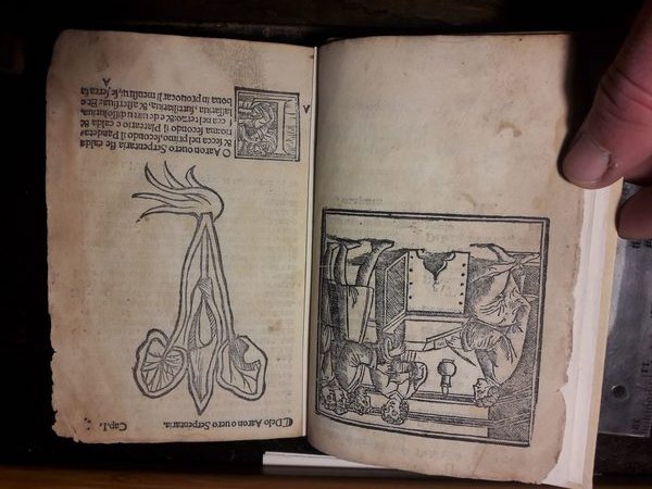 HERBOLARIO VOLGARE: NEL QUALE LE VIRTU DELLE HERBE: & MOLTI …