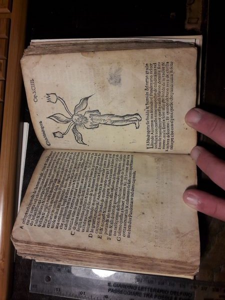 HERBOLARIO VOLGARE: NEL QUALE LE VIRTU DELLE HERBE: & MOLTI …