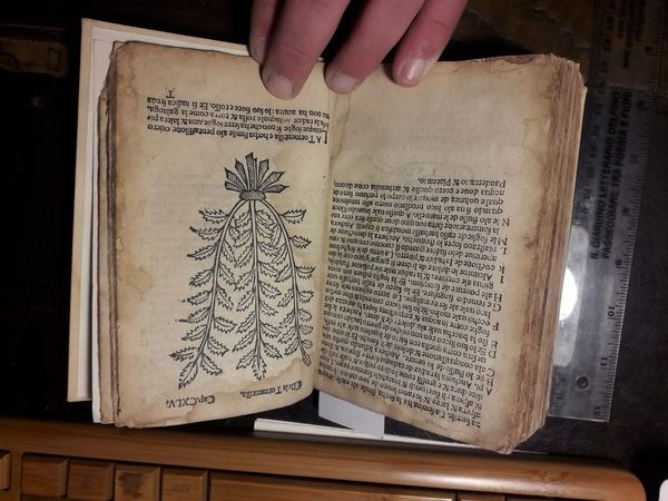 HERBOLARIO VOLGARE: NEL QUALE LE VIRTU DELLE HERBE: & MOLTI …