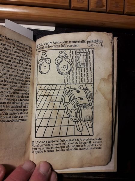 HERBOLARIO VOLGARE: NEL QUALE LE VIRTU DELLE HERBE: & MOLTI …
