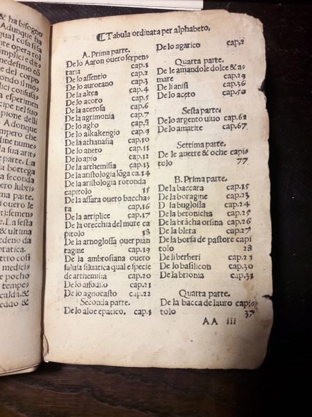 HERBOLARIO VOLGARE: NEL QUALE LE VIRTU DELLE HERBE: & MOLTI …