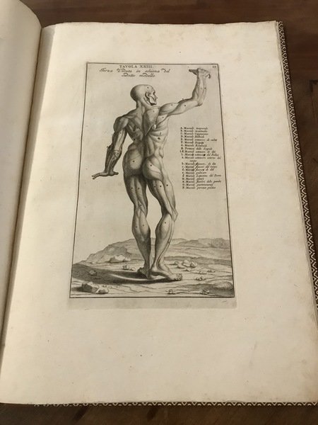 ANATOMIA PER USO ET INTELLIGENZA DEL DISEGNO. Ricercata non solo …