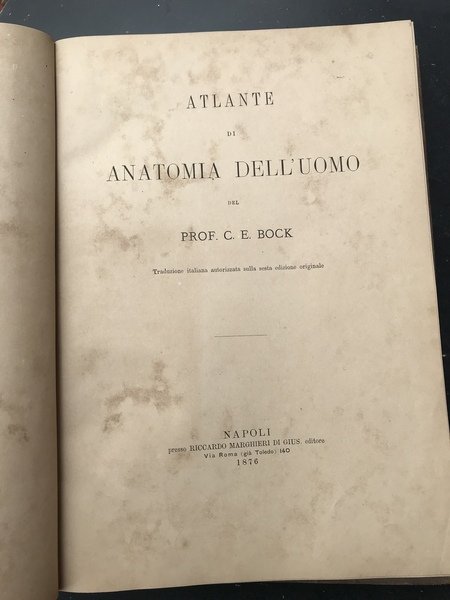 Atlante di anatomia dell'uomo. Traduzione italiana autorizzata sulla sesta edizione …