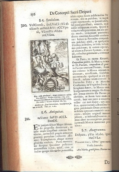 Conceptus chronographicus de concepta Sacra Deipara. Septingentis Sacrae Scripturae, SS …