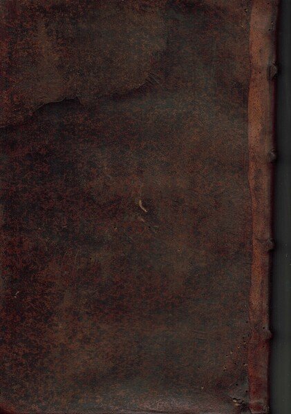 Basilica SS. Udalrici et Arae Imperialis Monasterii Ord. S. Benedicti …