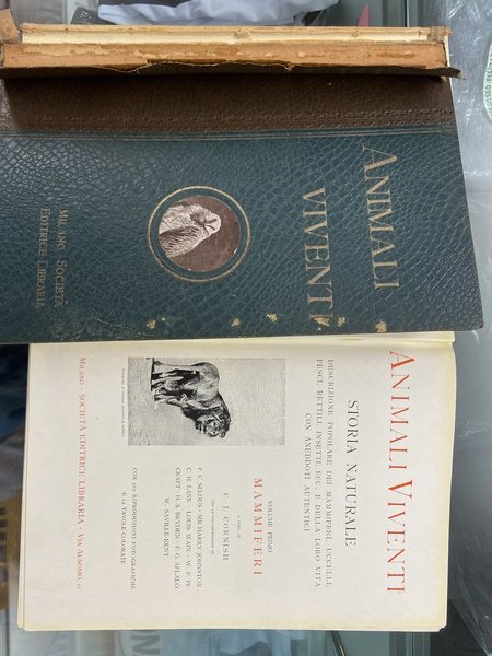 Animali viventi. Storia naturale, descrizione popolare dei mammiferi, uccelli, pesci, …
