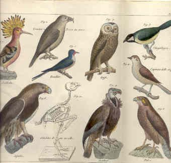 Compendio di storia naturale.