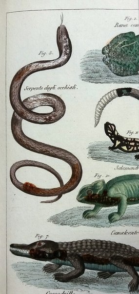 Compendio di storia naturale.