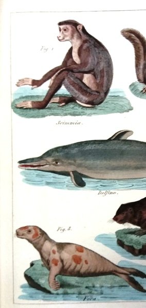 Compendio di storia naturale.