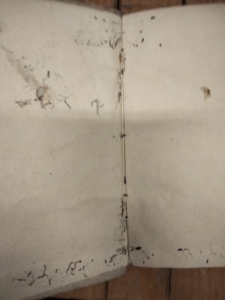 Empire francais. Gouvernement general au de la des Alpes. Vol. …