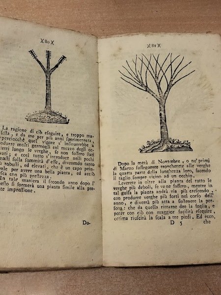 L'ortolano in villa e l'accurato giardiniere in città. Cioè regole … | Immagine principale