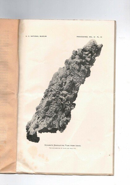 Description of vivianite encrusting a fossil tusk from gold placers …