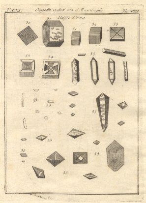 Oggetti veduti con il microscopio, tav. VIII. Tratta dal Dizionario …