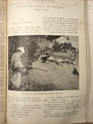 Il libro delle avventure.