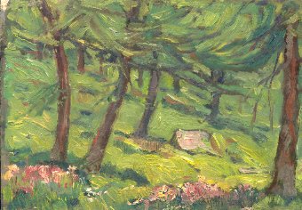 Rododendri nel bosco. Breuil.
