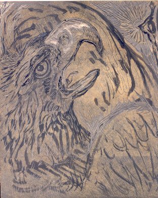 L'aquila. Il dolore.