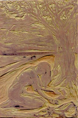 Dove hanno migrato i silenzi.