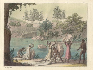 Il costume antico e moderno ovvero storia del governo, della …