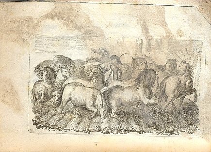 La coltivazione del riso. Del Marchese Gian Battista Spolverini veronese, … | Immagine principale