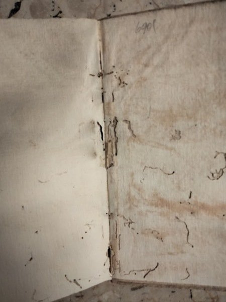 Rime di M. Gio: Della Casa sposte per M. Aurelio …