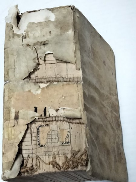 Resolutio Theologorum inscriptum, cunctis in theologia proficere volentibus, maxime necessarium.