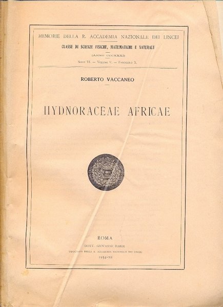 Hydnoraceae africae (Memorie della R. Accademia Nazionale dei Lincei - … | Immagine principale