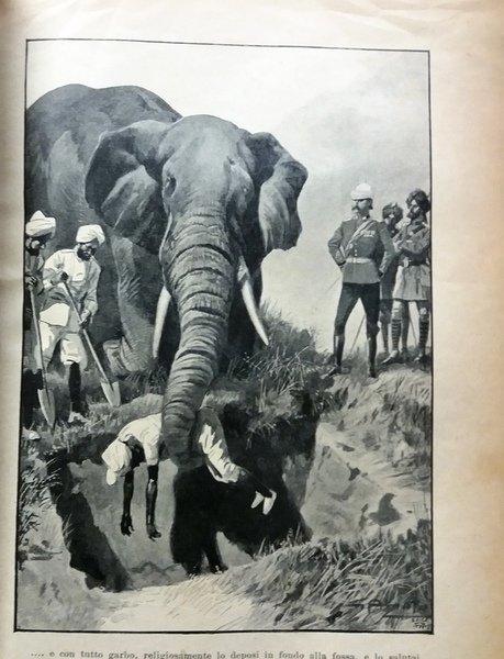 Il Carnet d'un Elefante Avventure illustrate da 16 disegni di …