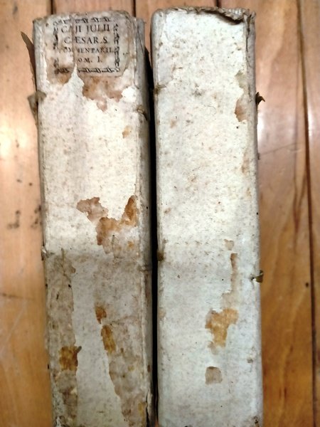 COMMENTARII DE BELLO GALLICO ET CIVILI cum notis selectis Thoma … | Immagine Gallery 2