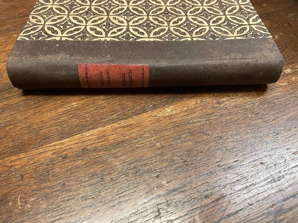 Ragazze innamorate novelle