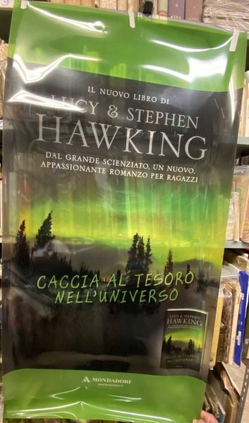 Locandina plastificata Caccia al tesoro nell'unbiverso di Lucy e Stephen …