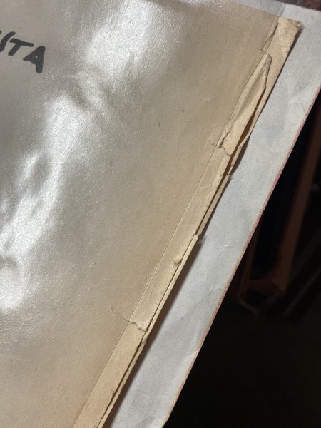 Locandina illustrativa Paperino 65 Sprint