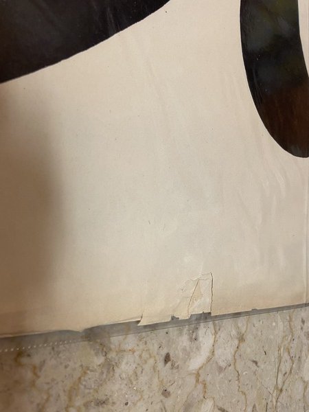 Locandina illustrativa Paperino 65 Sprint