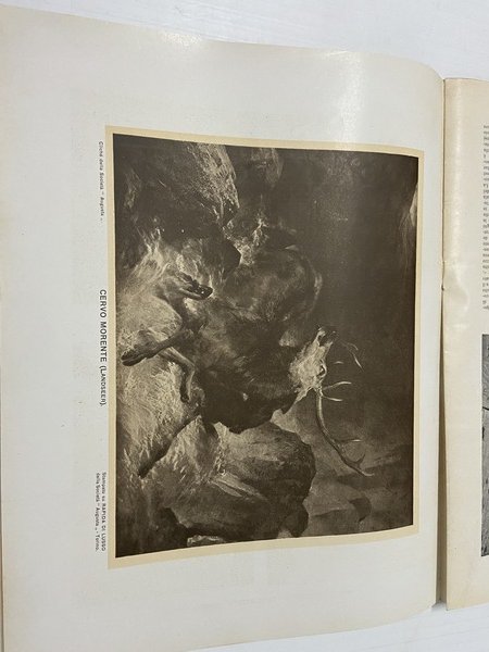 Roma rassegna illustrata dell'esposizione del 1911 ufficiale per gli atti …