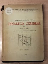 Investigaciones sobre la nueva Dinámica Cerebral. La actividad cerebral en …