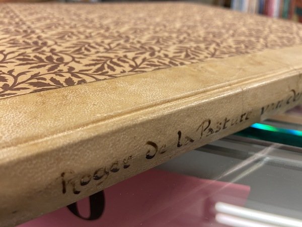 Roger de la Pasture Van Der Weyden. Tome premier. Texte …