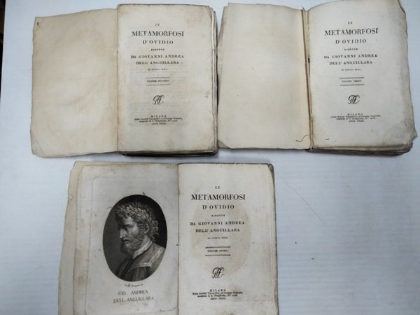 Le Metamorfosi d'Ovidio, ridotte dall'autore in ottava rima.
