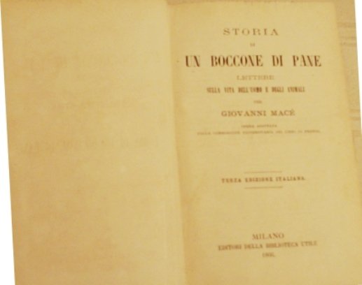 Storia di un boccone di pane. I servitori dello stomaco …