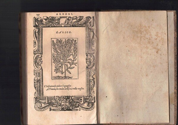 Emblemata. Iurisconsulti clarissimi.