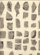 Corpus Inscriptionum Semiticarum ab Academia Inscriptionum et Litterarum Humaniorum conditum …