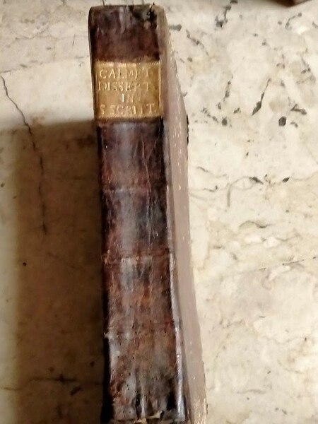 Prolegomena, et Dissertationes in Omnes, et Singulos Sacrae Scripturae Libros. …