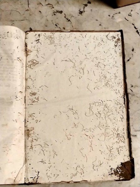 Prolegomena, et Dissertationes in Omnes, et Singulos Sacrae Scripturae Libros. …