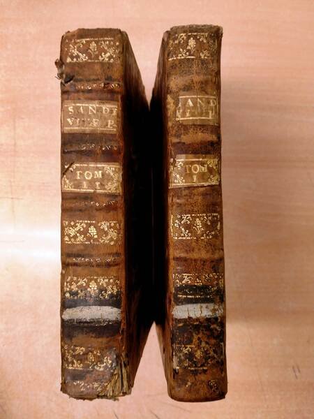 Vitae Pontificum Romanorum ex antiquis monumentis descriptae.