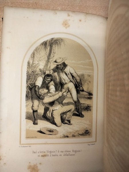 Paul et Virginie suivi de la Chaumière indienne et du …