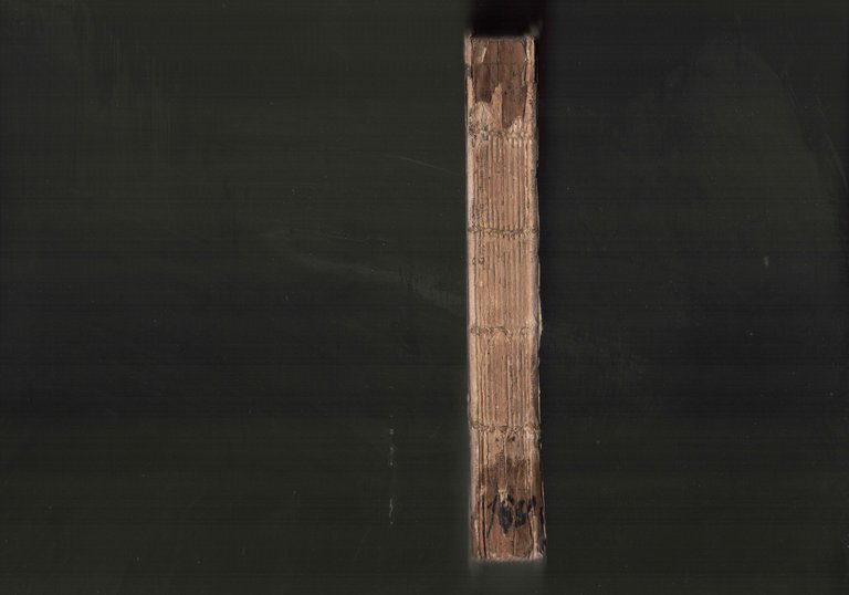 Della vita degli eccellenti Comandanti in volgar Toscano recato a … | Immagine Gallery 2