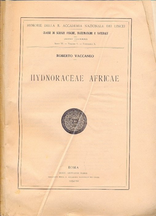 Hydnoraceae africae (Memorie della R. Accademia Nazionale dei Lincei - … | Immagine Gallery 2