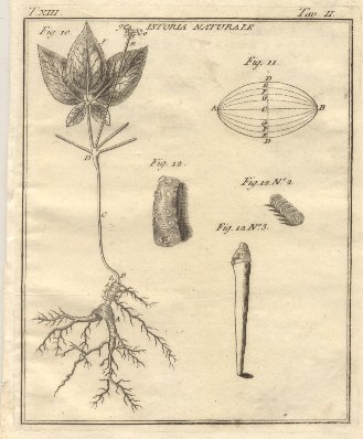 Istoria Naturale, tav. II. Tratta dal Dizionario Universale delle arti …