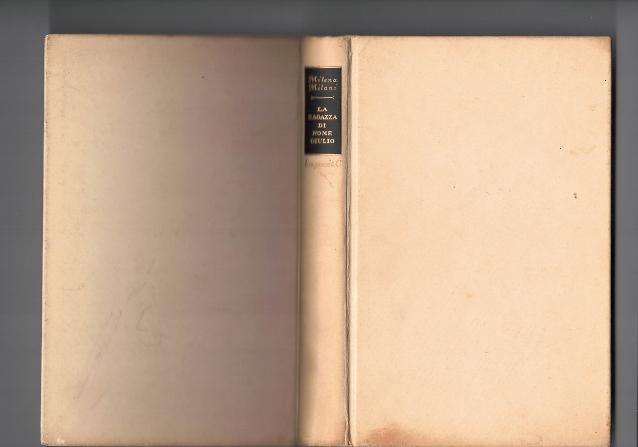 La ragazza di nome Giulio. Romanzo.