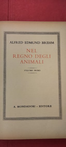 Nel regno degli animali. | Immagine Gallery 2