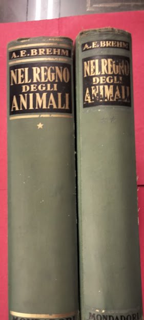 Nel regno degli animali. | Immagine Gallery 4